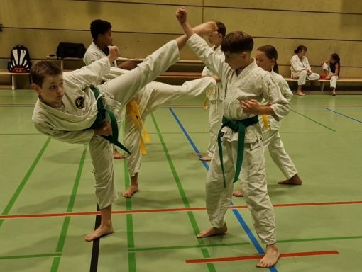 Im Training