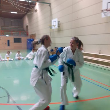 leichtes Sparing